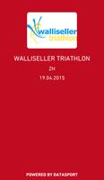 Swiss Triathlon Circuit Plakat