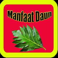 Daun dan Manfaatnya постер