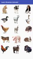 Animal Names in Ukrainian penulis hantaran