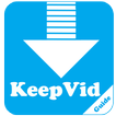 Guide for Keepvid