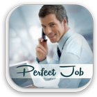 How To Get The Perfect Job simgesi