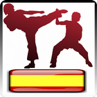 Entrenamiento de Karate иконка