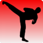 Taekwondo training icon