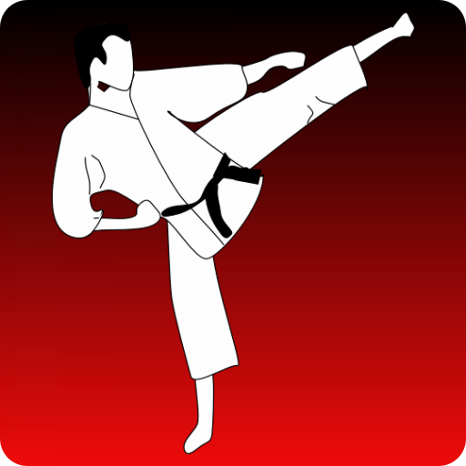 Karate Kumite
