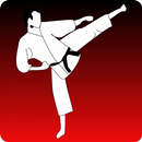 Le Karaté En Kumite APK