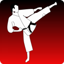 Karate Kumite APK