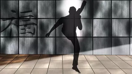 Kick boxing training APK download