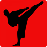 Learn Karate-icoon