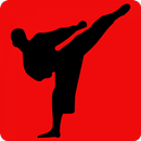 Learn Karate APK