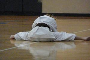 Learn Karate syot layar 3