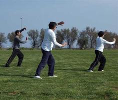 Apprendre Le Tai Chi capture d'écran 1