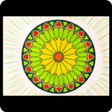 Reiki for life icon