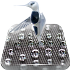 Technogenic Colibri Live WP icon