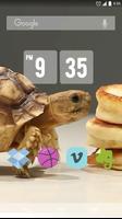 Tortoise And Tiny Panc Live WP screenshot 1