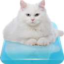 Cute White Cat Live Wallpaper aplikacja