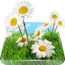 Summer Meadow Live Wallpaper APK