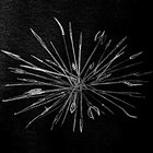 Clash of Crowds Zeichen