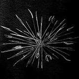 Clash of Crowds Zeichen