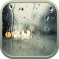 Rain Wallpapers