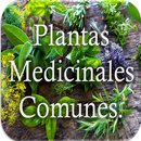 Plantas medicinales y sus usos APK