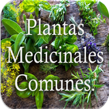 Plantas medicinales y sus usos icône