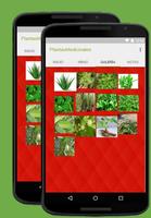 Plantas medicinales y sus usos capture d'écran 2
