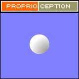 Proprioception icon