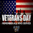 Veterans Day News icône