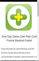 Plano de Dieta Detox Dia 10 imagem de tela 2