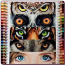 APK How to Draw Animal Eyes