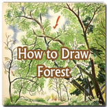 How to Draw Forest and Tree