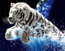 3D Tiger screenshot 1
