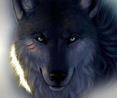 3D Wolf ảnh chụp màn hình 1