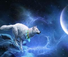 3D Wolf ảnh chụp màn hình 2