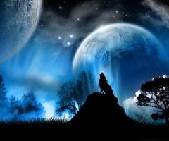 3D Wolf ảnh chụp màn hình 3