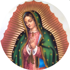 Nuestra Señora de Guadalupe icône