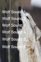 Wolf Sounds for Fun Cartaz