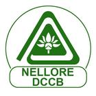 Nellore DCCB icône