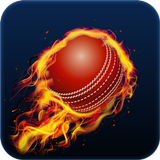 Cricket 65 icône