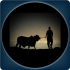 কুরবানীর বিধান  Qurbani Rules icon