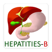 Hepatitis B virus information