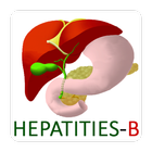 Hepatitis B virus information 아이콘