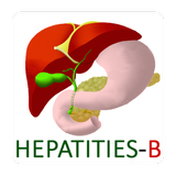 Hepatitis B virus information Zeichen