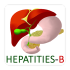 Hepatitis B virus information icon