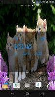 Cat Live Wallpaper 截图 3