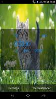 Cat Live Wallpaper 截图 1