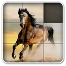 Aah! Games Free Horse Puzzles APK