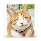 The Cutest Cat Pics icon