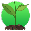 Como Cuidar Plantas/Jardines