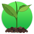 Como Cuidar Plantas/Jardines
